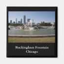 Search for buckingham magnets Chicago