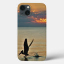 Search for pelicans iphone cases Beach