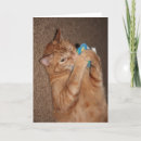 Search for tater cards Cat