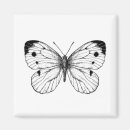 Search for butterfly pattern magnets Black