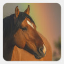 Search for closing stickers Horse