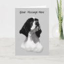 Search for cocker spaniel cards Dogs