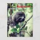 Search for sloth birthday cards Wildlife