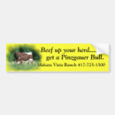 Search for bull bumper stickers Cattle