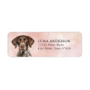 Search for german shorthair pointer return address labels Dog