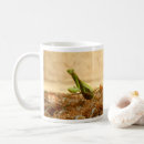 Search for praying mantids mugs Nature