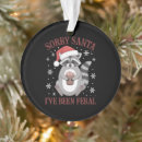 Search for raccoon christmas tree decorations Matching