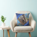 Search for koala cushions Animal