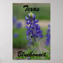 Search for multi region posters Flowers