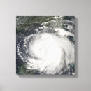 Search for four eyes art Eye of storm