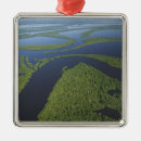 Search for amazonia Brasil