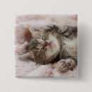 Search for eyes closed badges Kitten