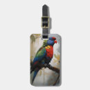 Search for lorikeet parrot accessories Rainbow