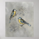 Search for aviary posters Domestic