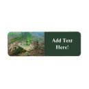 Search for amphibian return address labels Swamp