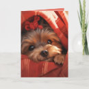 Search for blankets cards Pet