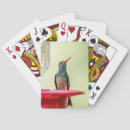 Search for hummingbird playing cards Wildlife