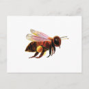 Search for bee illustration postcards Beekeeping