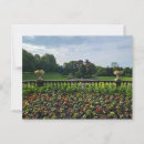 Search for flowerbeds postcards Petals