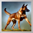 Search for belgian malinois art Portrait