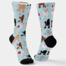 Search for poodle socks Cute