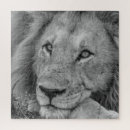 Search for black beauty puzzles Animal