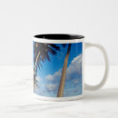 Search for santo domingo dominican republic mugs Greg johnston