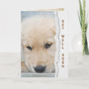 Search for golden retriever get well cards Pet