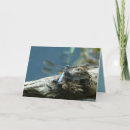 Search for remains cards Photography