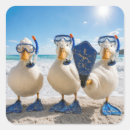 Search for snorkelling stickers Coastal