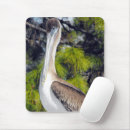 Search for juvenile mouse mats Birds