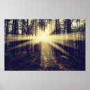 Search for sunbeam posters Nature