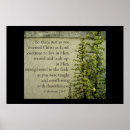 Search for root art Photography