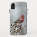 Search for finch iphone cases Wild bird
