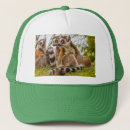 Search for hugging hats Animal