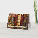 Search for indian corn cards Autumn
