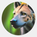 Search for watch stickers Wild