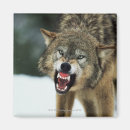Search for anger magnets Nature