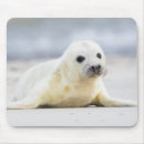 Search for creatures mouse mats Animals