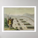 Search for celte posters Viking