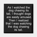 Search for black tailed magnets Dog