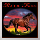 Search for born art Horses