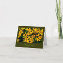Search for susan cards Photography