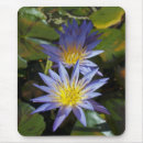 Search for tropical standard mouse mats Nature inspired