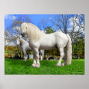 Search for draft horse art Percheron