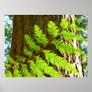 Search for highlight art Botanical