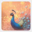 Search for colorful peacock stickers Bird
