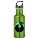 Search for polar bear water bottles Northern lights