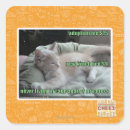 Search for caged stickers I can has cheezburger
