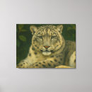 Search for snow leopard canvas prints Wildlife
